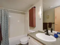 View 15
