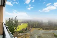 View 42