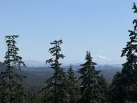 View 41
