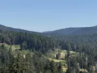 View 40