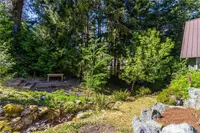 View 50