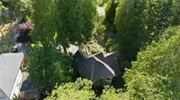 View 60