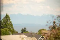 View 16
