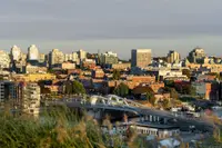 View 50