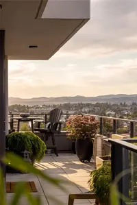 View 25