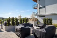 View 25