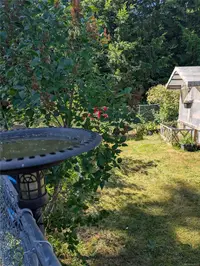 View 43