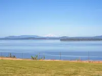 View 42