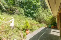 View 55