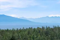 View 61