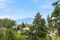 View 65