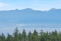 View 60