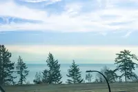 View 46