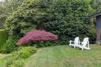 View 51