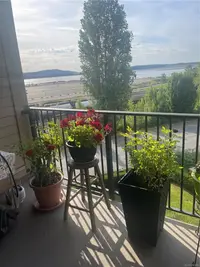 View 21