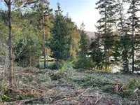 View 32