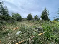 View 28
