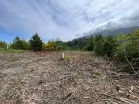 View 30