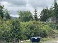 View 38
