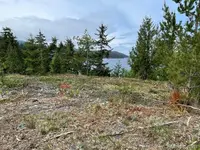 View 21