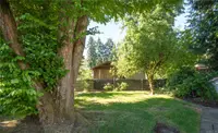 View 36