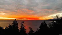 View 53