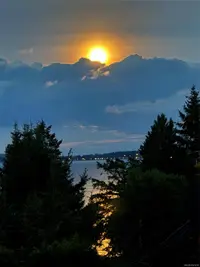 View 94