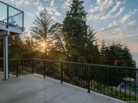 View 61