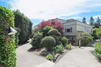 View 43