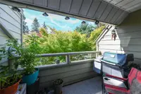 View 35