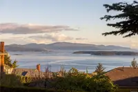 View 42