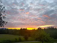 View 69