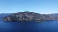 View 50