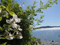 View 32