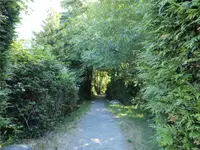 View 30
