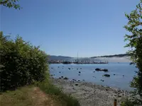 View 33