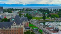 View 35