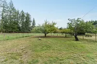 View 94
