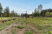 View 87