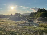 View 49