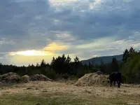 View 48