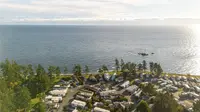 View 40