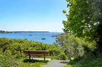 View 65