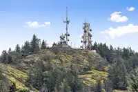 View 49