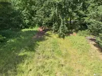 View 10
