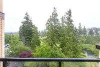 View 30