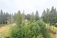 View 31