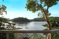 View 49