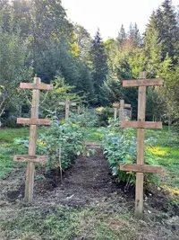 View 26