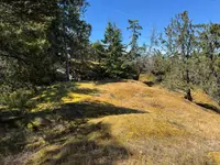 View 14